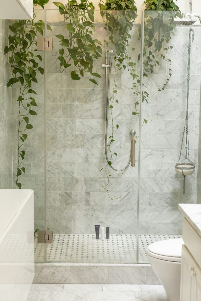 skincare products in glass shower with plants